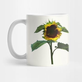 Sunflower With Frilly Edge Mug